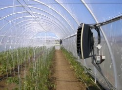 решение отопление для теплиц тепловыми насосами