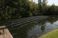 акватермальное поле